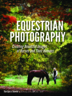 cover image of Equestrian Photography